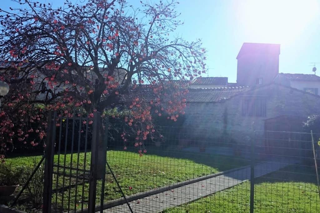 La Casa Di Lucia - * Firenze